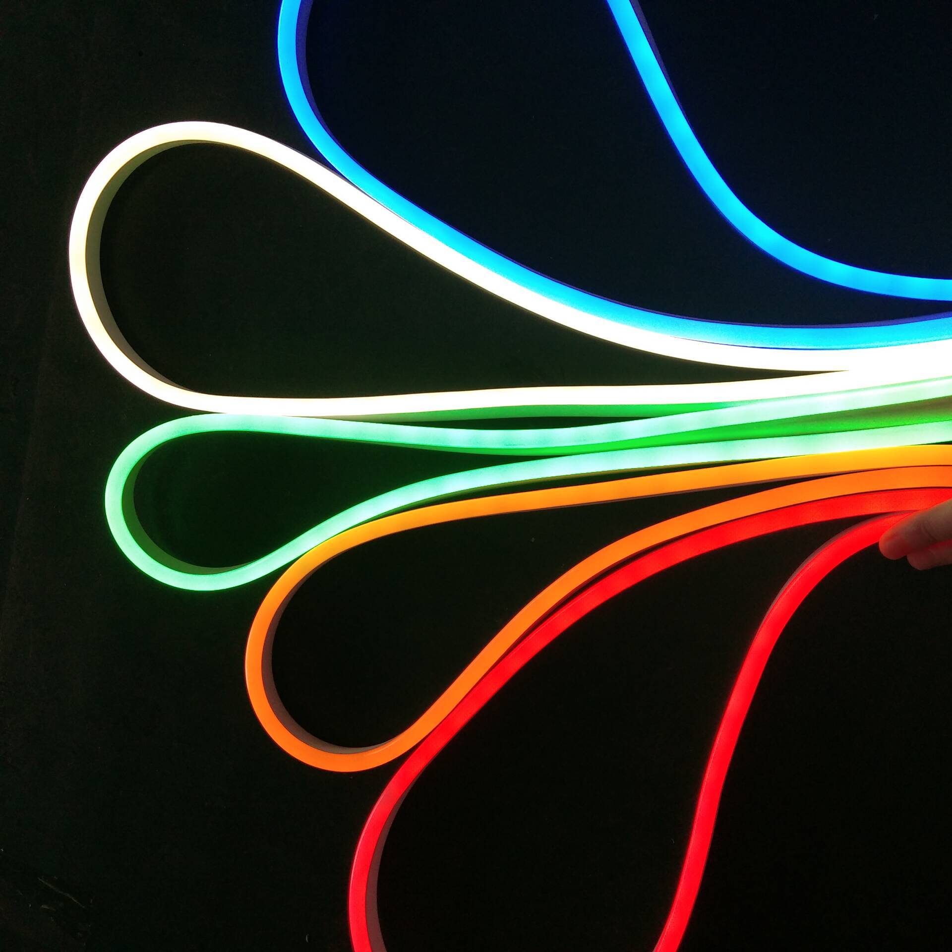 高压柔性霓虹灯 2835 红蓝绿 幻彩 深圳厂家 直销