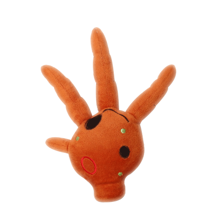 儿童爪子玩具图片