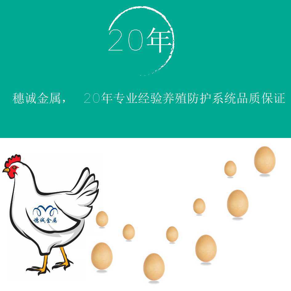 出口现货耐用层叠式蛋鸡笼 大小养殖场自动化镀锌浸塑