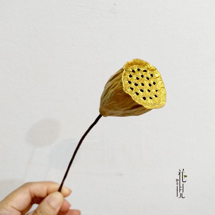 金色小莲蓬 干花束天然风干真花客厅卧室装饰落地摆设文艺干莲蓬