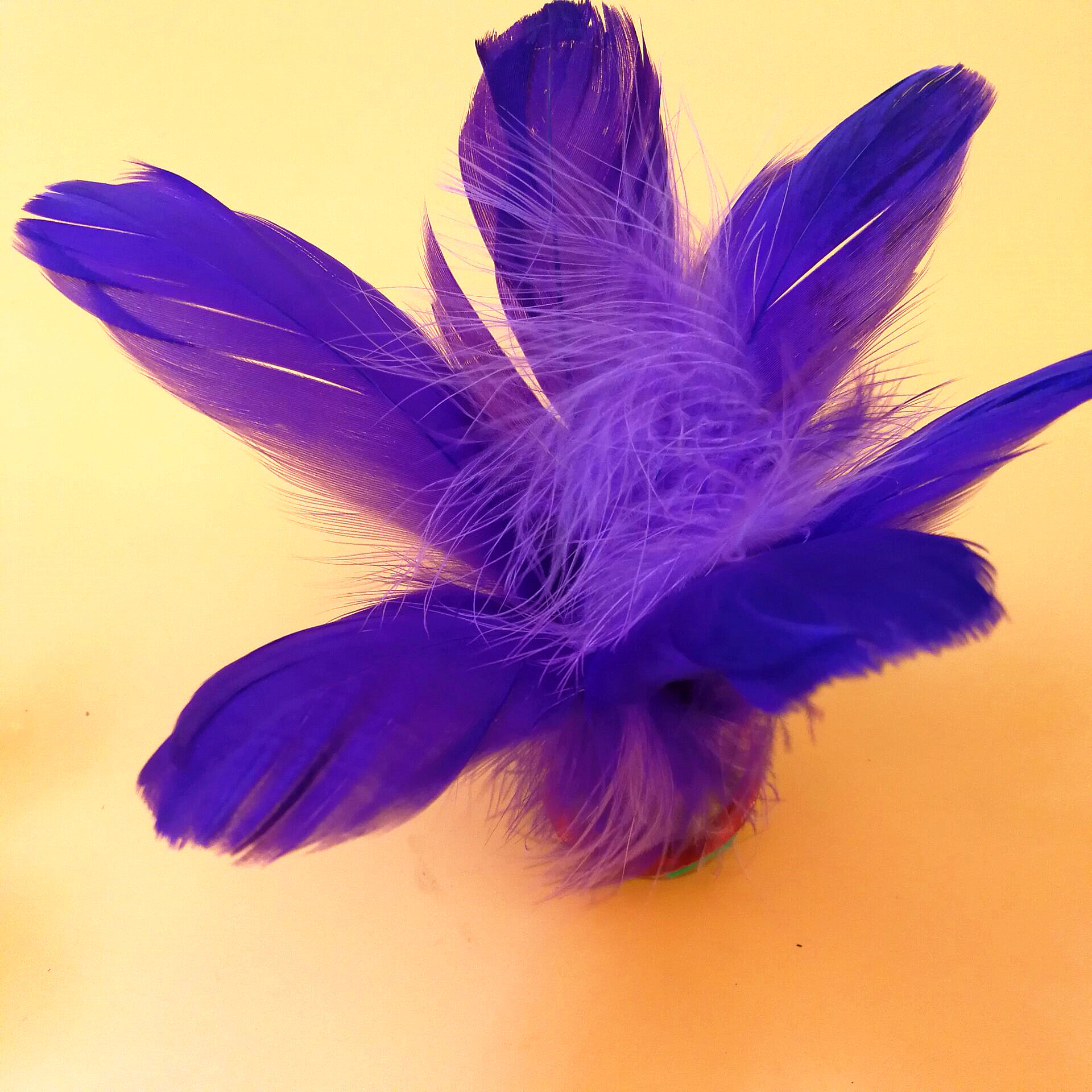 毽子小学生儿童幼儿园初学者鸡毛彩色键子比赛羽毛毽球花毽键子