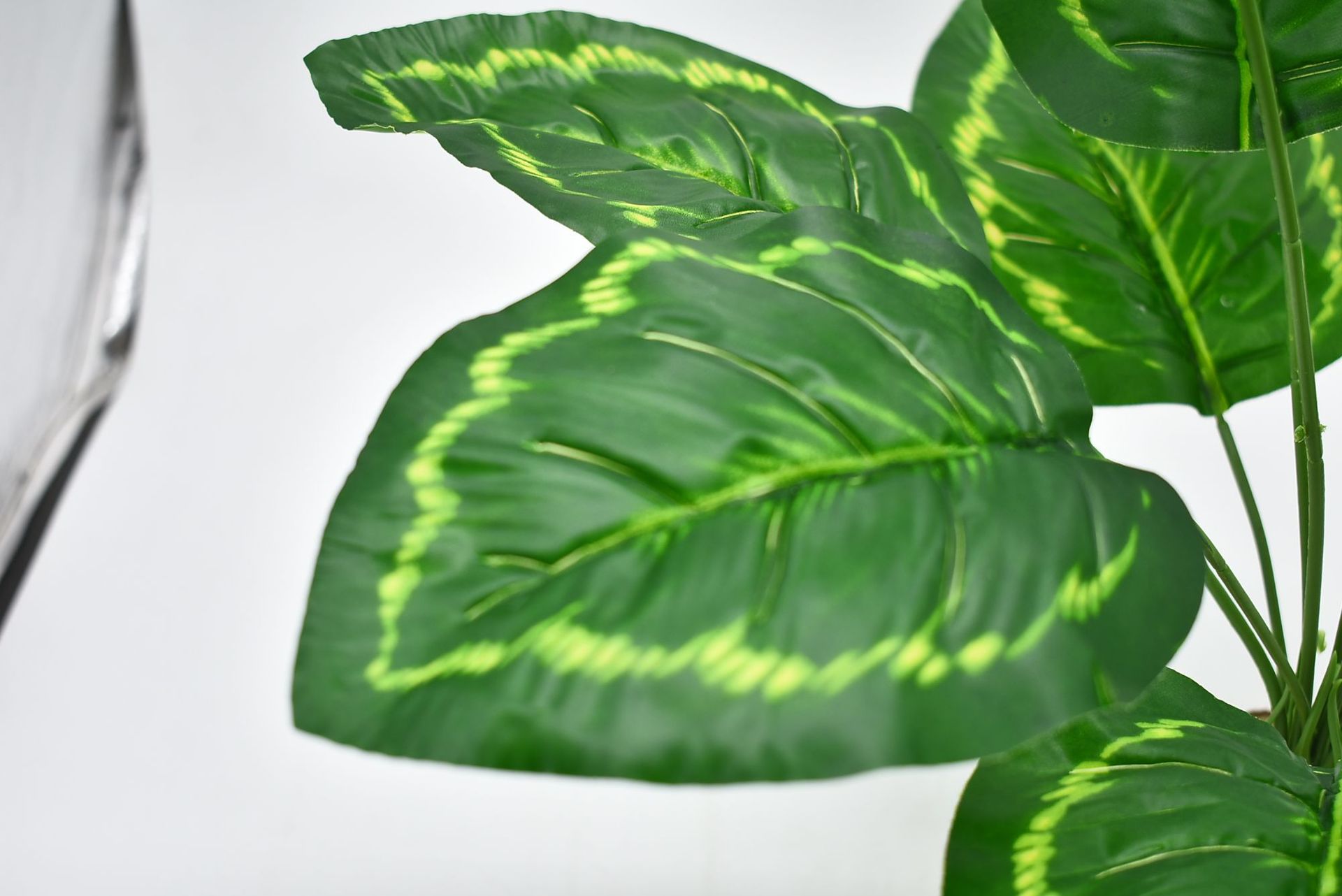 材质;pu胶片叶【12片大叶子】 【每片叶子长16cm*