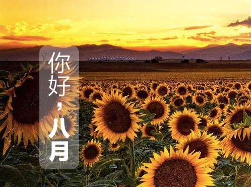 今天,八月第一天,致敬中国军人