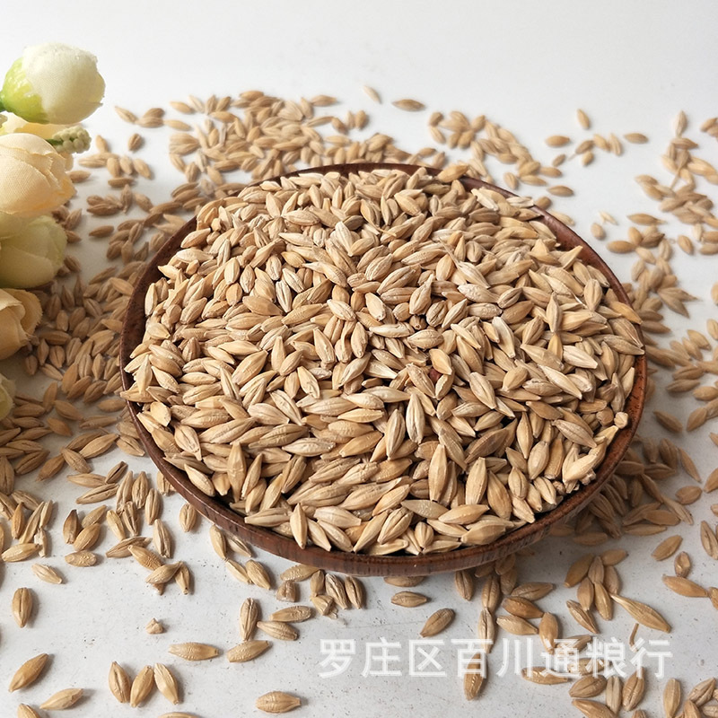 0成交633件批发小麦米 农家新货去皮小麦仁 脱皮麦米煮粥酿酒原料袋装