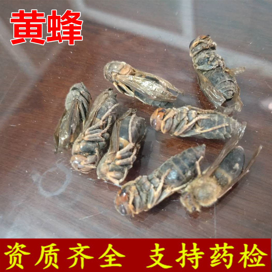 无硫 马蜂 中药材 泡酒大黄蜂 马蜂 葫芦蜂 支持药检 承接订单