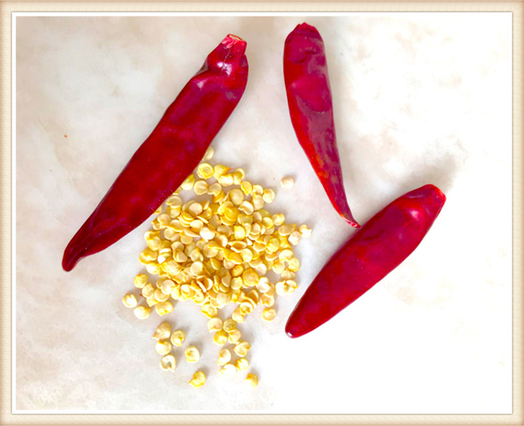 厂家直销 辣椒籽 优等品质 现货热销 小辣椒种籽