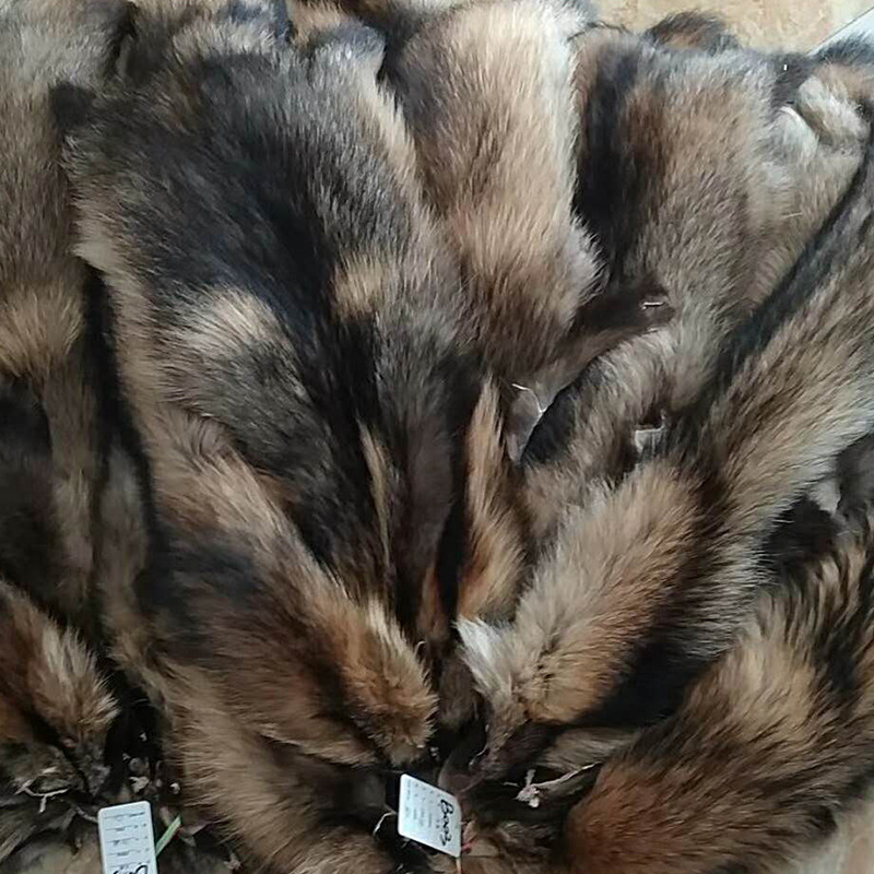 批发唐山貉子皮 东北貉子皮 耗子毛貉子毛领路季节皮来样染色