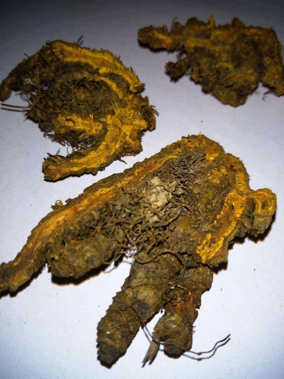 包邮飒枫中药材川黄连产地货源大货批发实力厂家直销支持药检