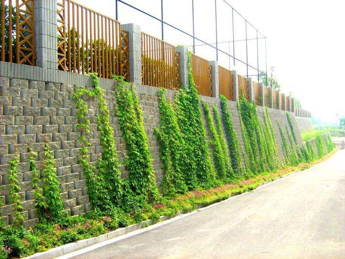 主营建菱砖路边石树坑石护坡砖挡土墙159930013