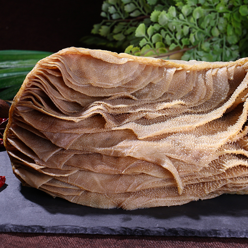 黑毛肚整个 【带底板】水发毛肚 四川火锅食材批发 量大从优 小叶