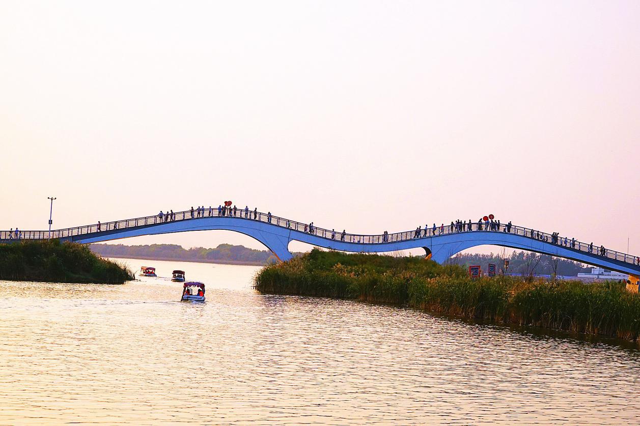 国庆出游小逛衡水湖湿地公园