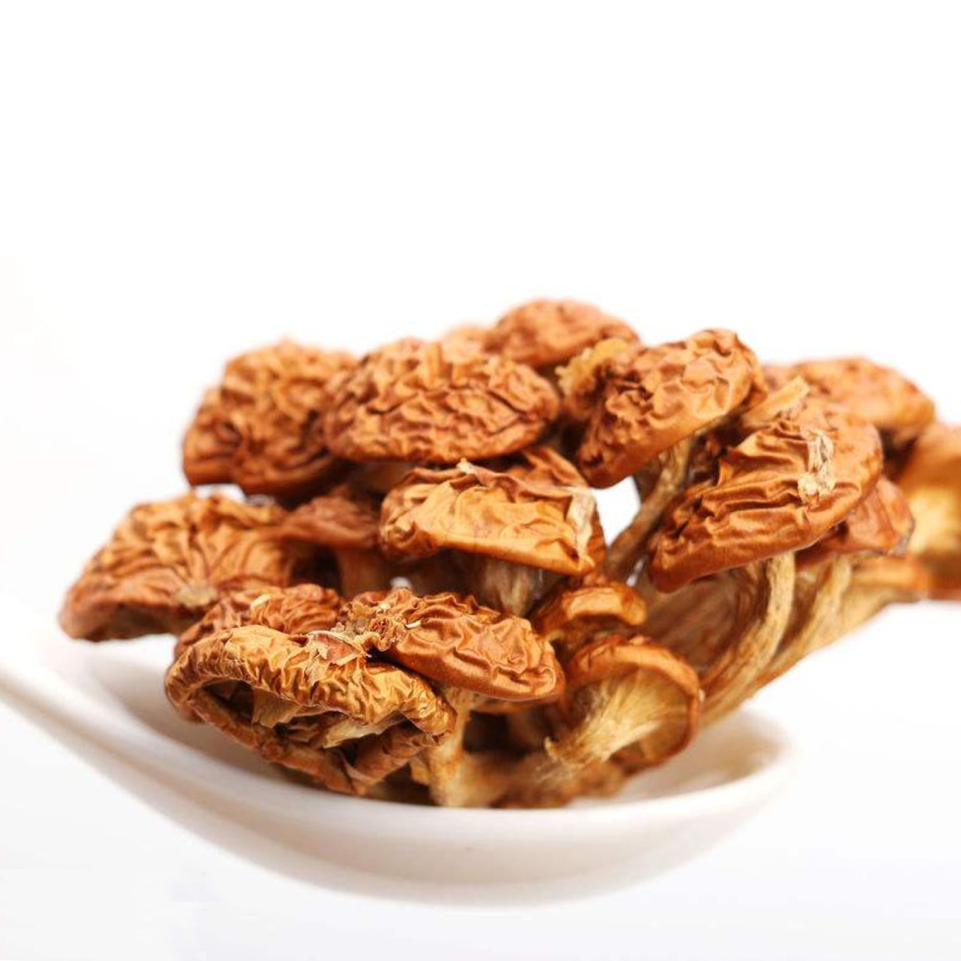 批发供应食用菌干货 直销 滑子菇 煲汤 干够锅食材 滑