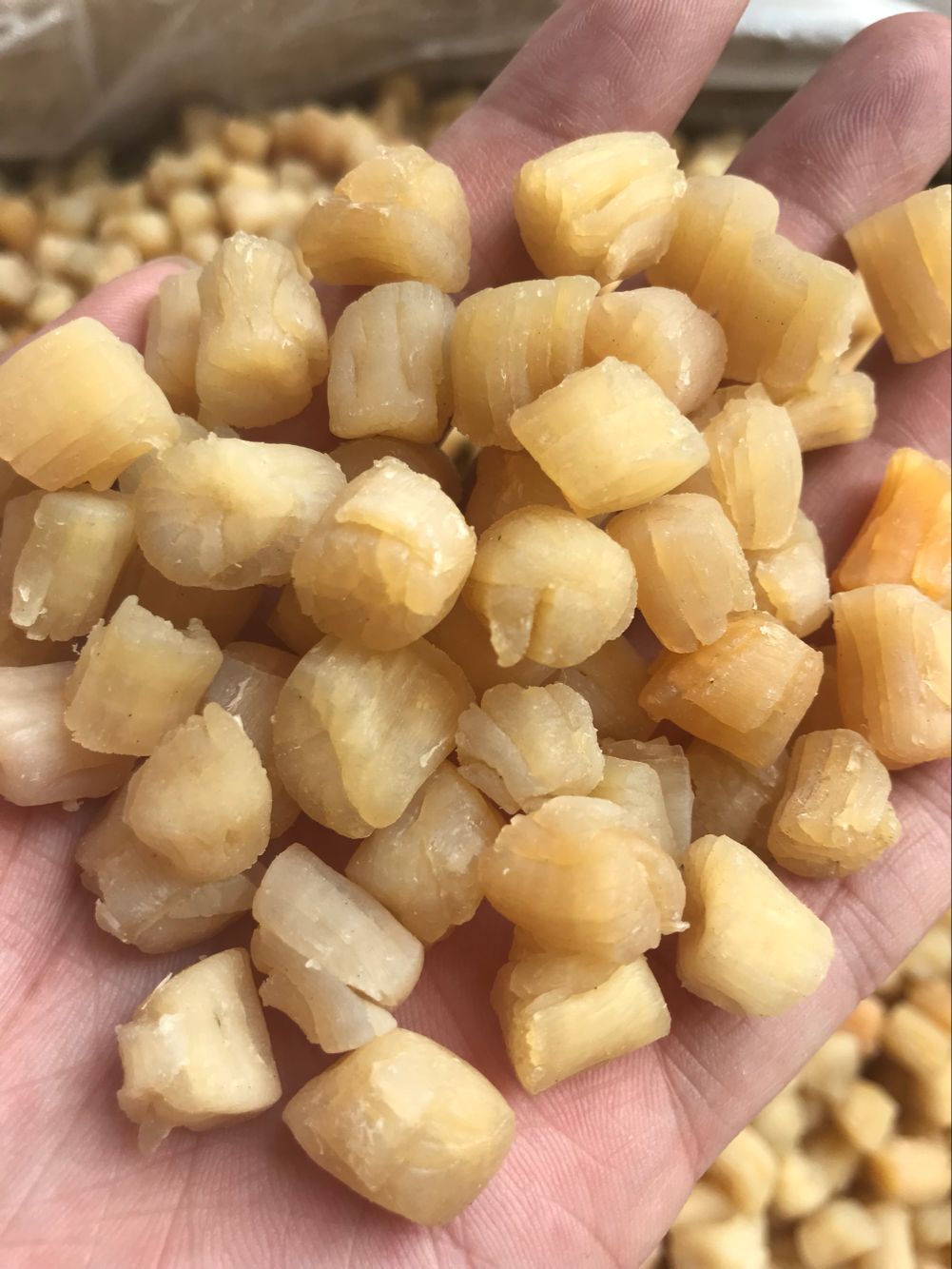 大连干贝标准400头(每件为15公斤装)