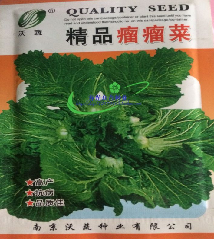 瘤芥菜种子 选瘤瘤菜 弥陀芥菜 脆嫩鲜食腌制 特蔬菜籽