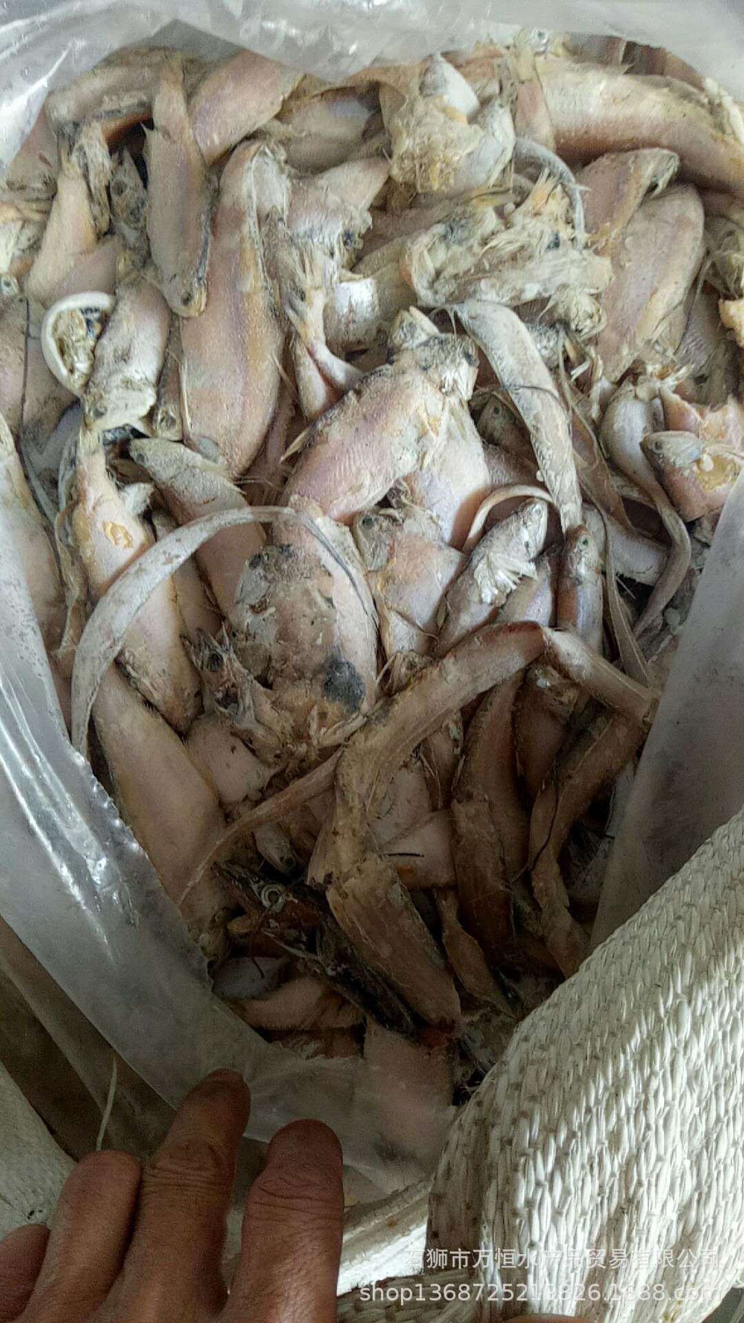 优质厂家万恒水产批发 船冻饲料鱼 杂鱼 粗杂