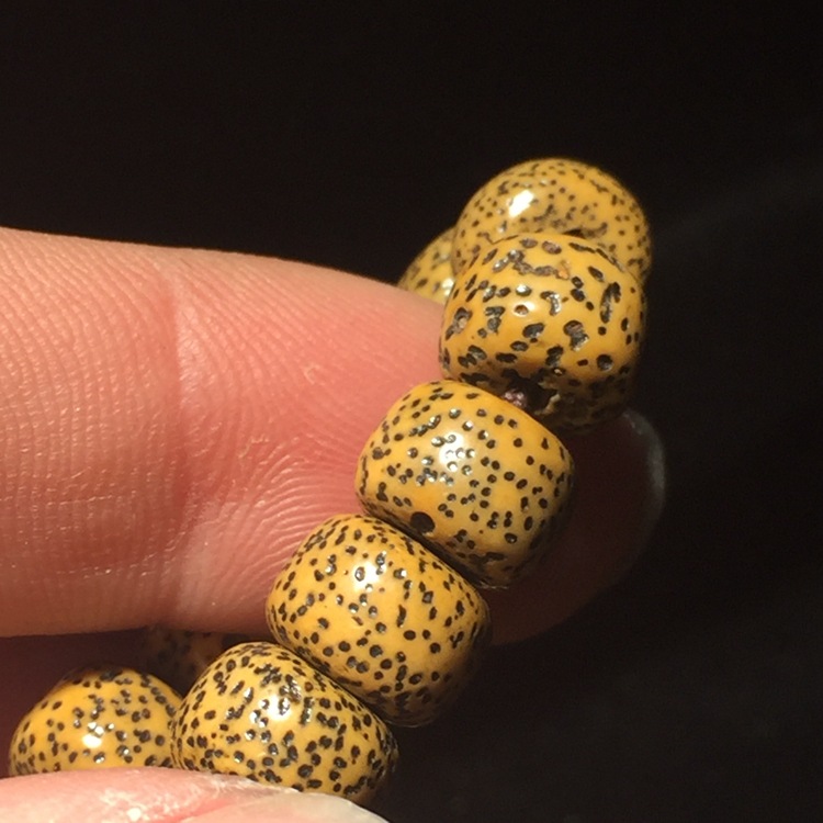 印度高密金蝉子星月菩提子 偏月陈子星月菩提7*9mm108颗 菩提批发