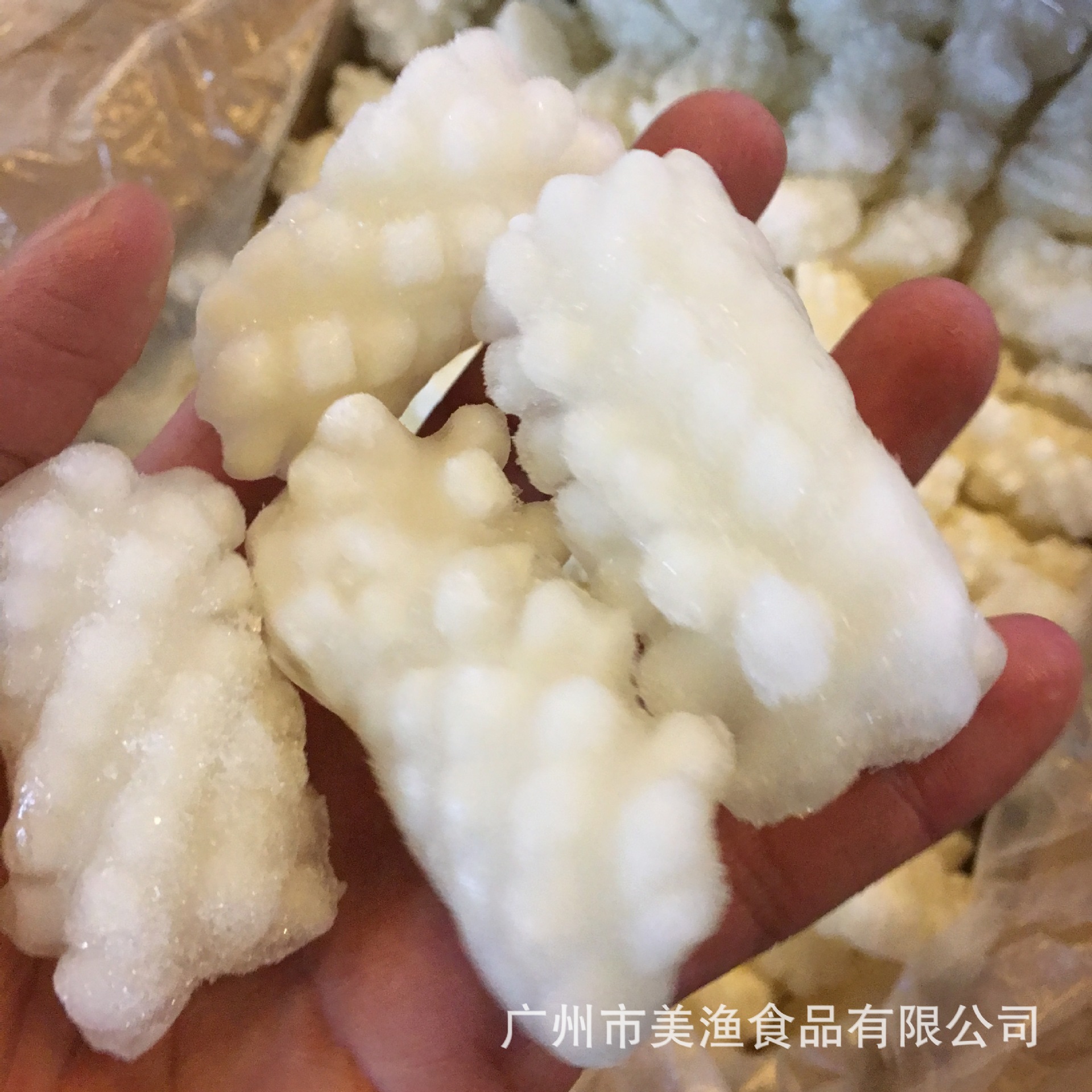 冷冻目鱼花 火锅豆捞墨鱼花经济小炒目鱼花鱿鱼花烧烤整箱5kg/件