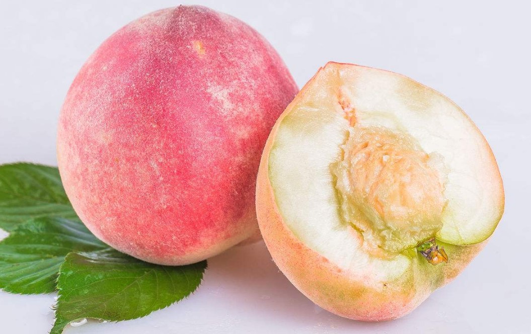 桃汁粉 桃子粉 桃子果汁粉 批发桃汁粉 现货包邮量大从优