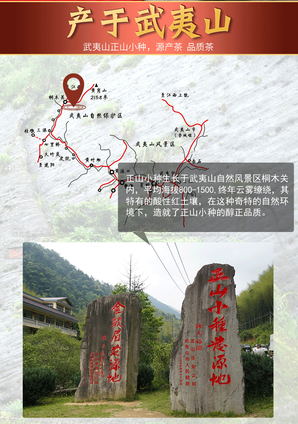 中秋茶礼 福满相伴正山小种红茶 武夷山原产地茶叶礼盒250g装包邮