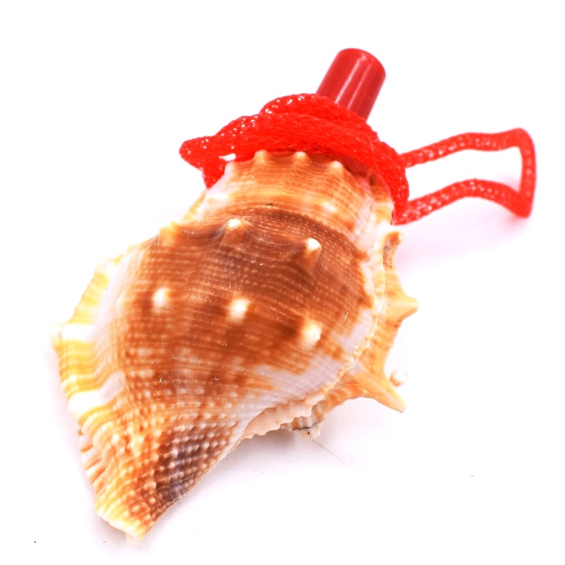海螺哨吹响的贝壳哨子带绳子贝壳吊坠喇叭一元两元店货源批发
