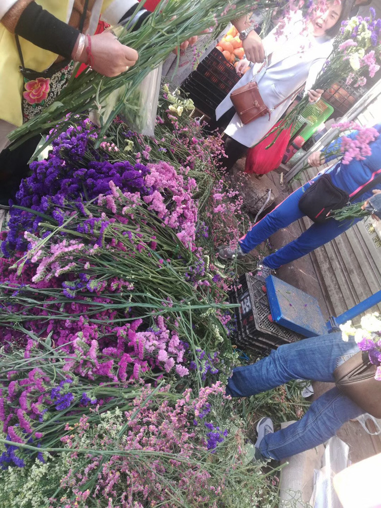 云南鲜花干花称斤卖跑江湖地摊新奇模式勿忘我花满天星批发包邮
