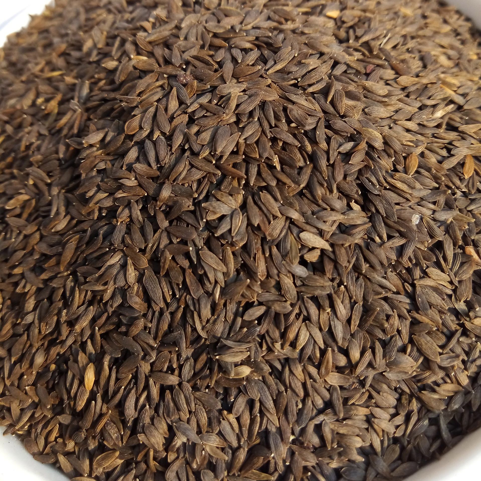 熟黑生菜籽 粉 低温烘焙菜籽原料 药食同堂 销售 批发