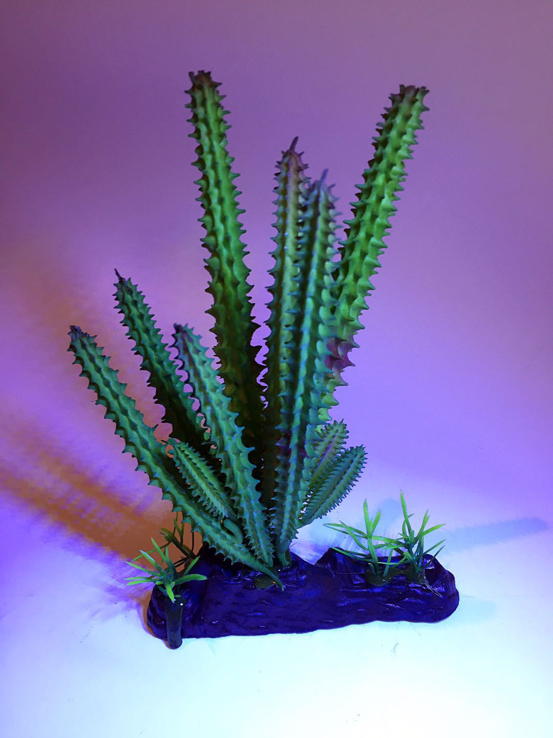 鱼缸造景/仿真植物假植物陆龟沙漠变色龙爬虫箱仙人掌树脂工艺品