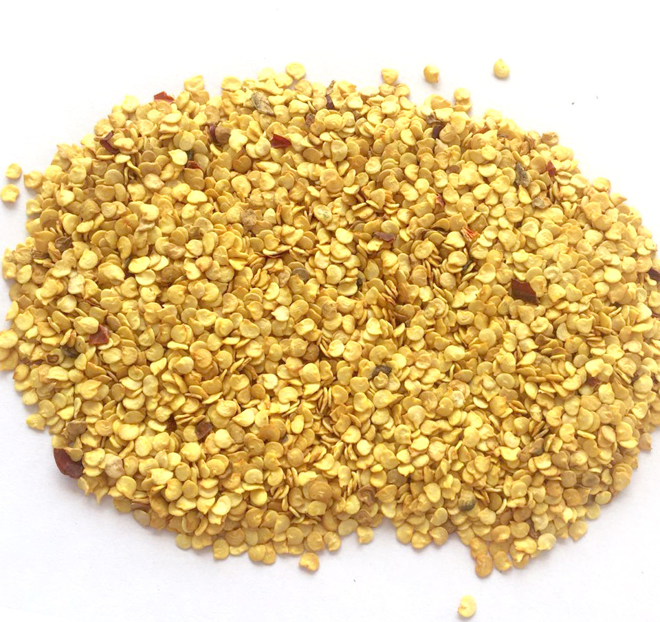 厂家直销 新疆甜椒籽 现货 辣椒籽 二级品质1000g