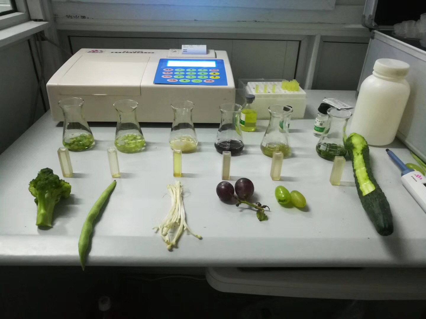 蔬菜瓜果快速农药残留检测仪tl-310农药残留速测仪茶叶农残速测仪