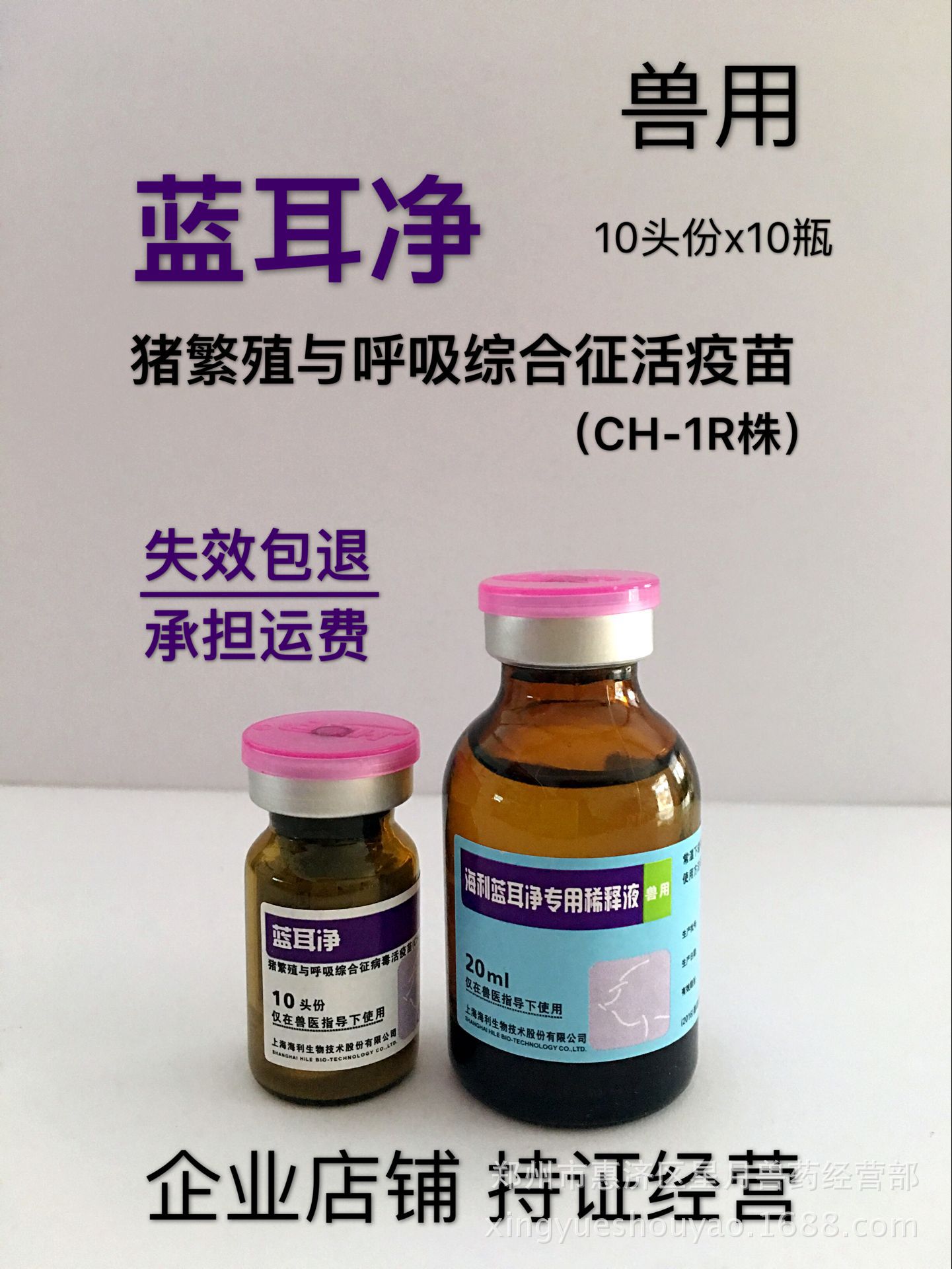 蓝耳净 猪繁殖与呼吸综合征病毒 猪疫苗 猪蓝耳活疫苗 1盒价10支