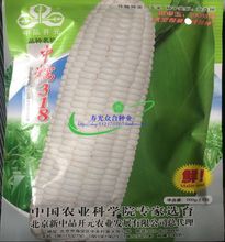 中糯318甜糯玉米200g 甜玉米糯玉米种子香甜糯