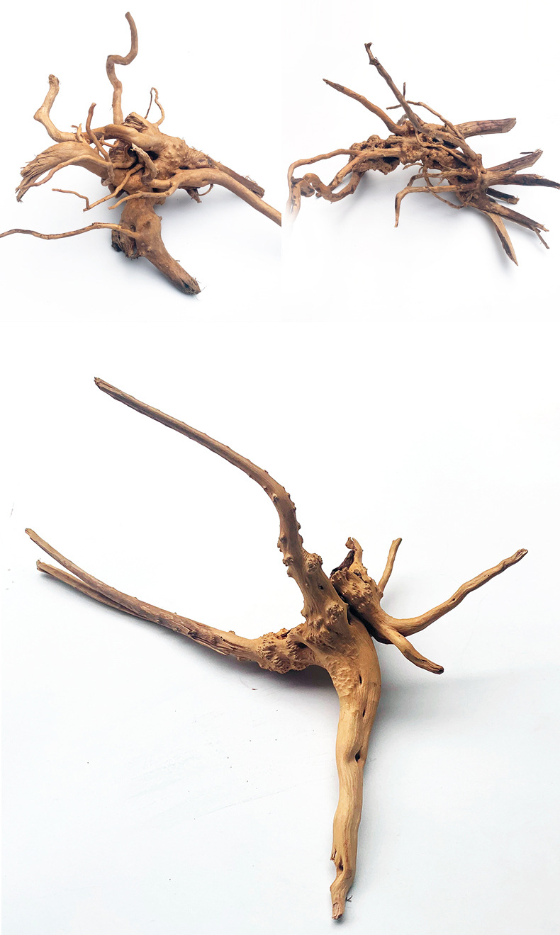 杜鹃根莫斯树根沉木造景木鱼缸水族箱天然造景水草胶水装饰品摆件