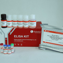 小鼠骨形态发生蛋白 9ELISA试剂盒     买ELISA试剂盒，免费代测