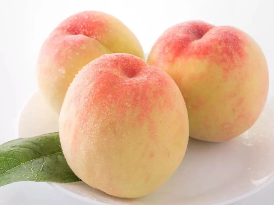 时令养生,适合八月吃的水果!