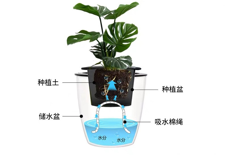 恒德利厂家直销自动吸水花盆绿萝懒人花盆塑料九角盆透明储水花盆