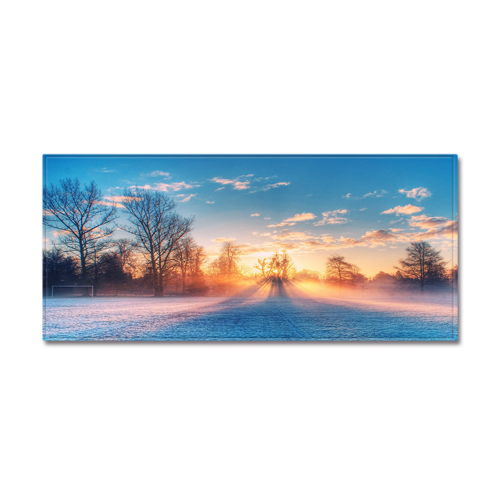 风景沙发衣柜鞋柜长条地垫跨境货源wish亚马逊速卖通ebay现货代发