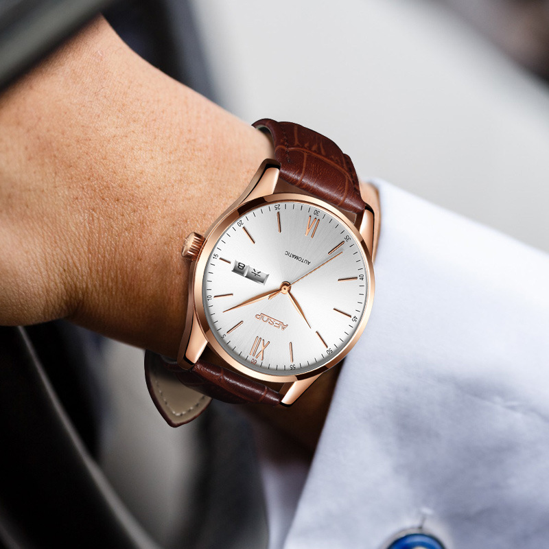 aesop伊索 表带多功能男士腕表大气商务机械男表深度防水男表1001