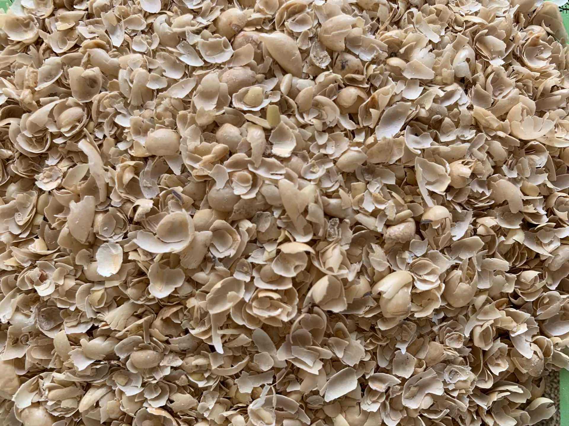 大量现货大蒜皮牛羊马饲料白色大蒜皮压块牛羊植物性饲料