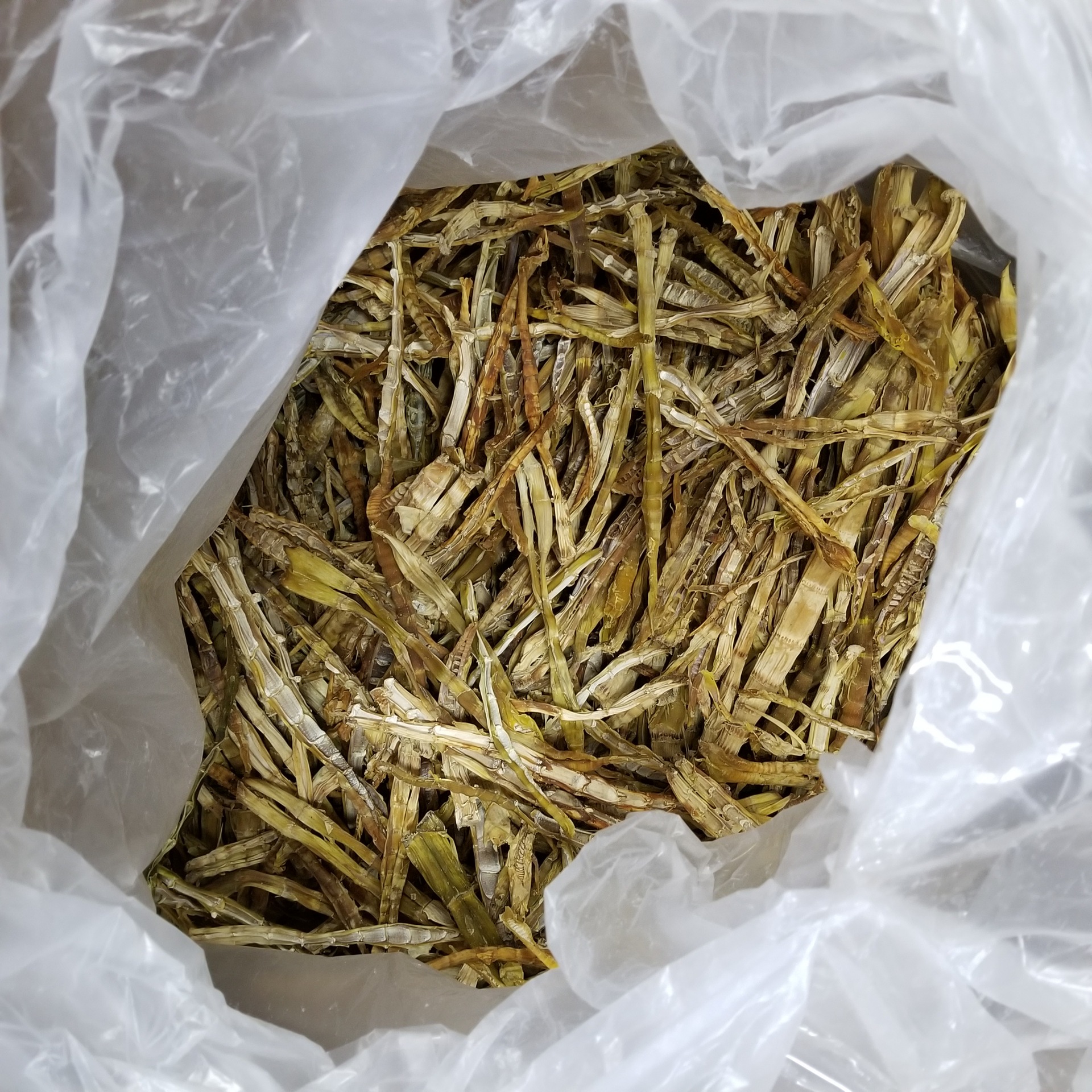 厂家直销 福建深山雷竹笋干 天目山笋干干货雷笋干500g