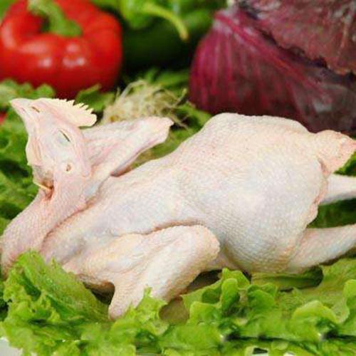 新鲜冷冻鸡土鸡麻鸡 三黄鸡 冻鸡肉 冻货