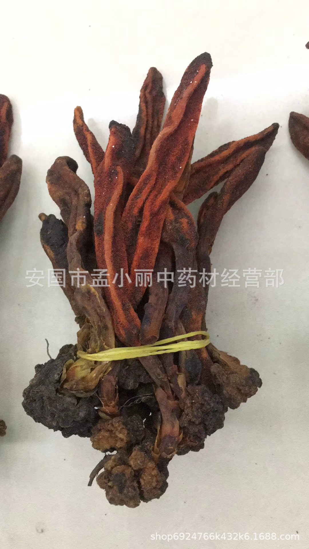 中药材 回春草 顶天柱 不老草 草苁蓉 蟛蜞菊 泡酒料