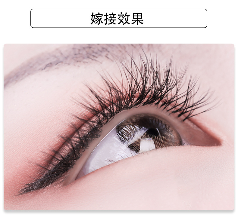 v型睫毛密排嫁接假睫毛0.15加密种植假眼睫毛开花扁毛 厂家直销