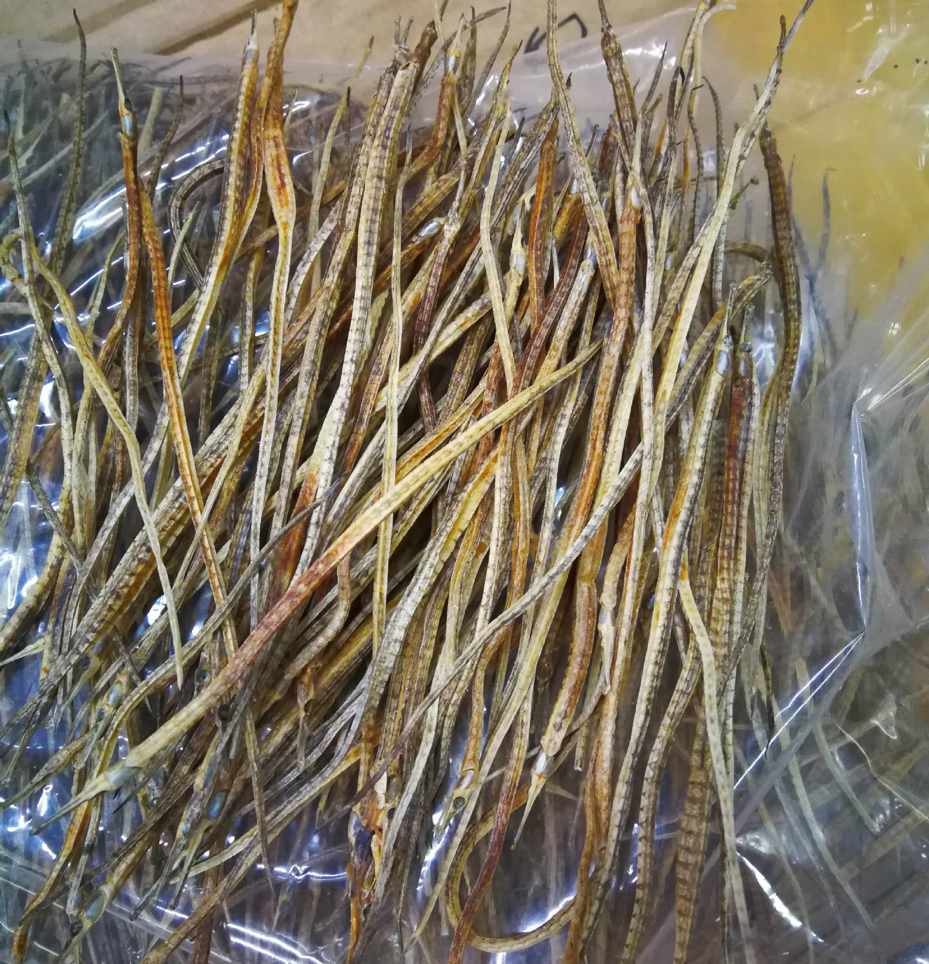 批发 海龙 干货 中药材泡酒原材料