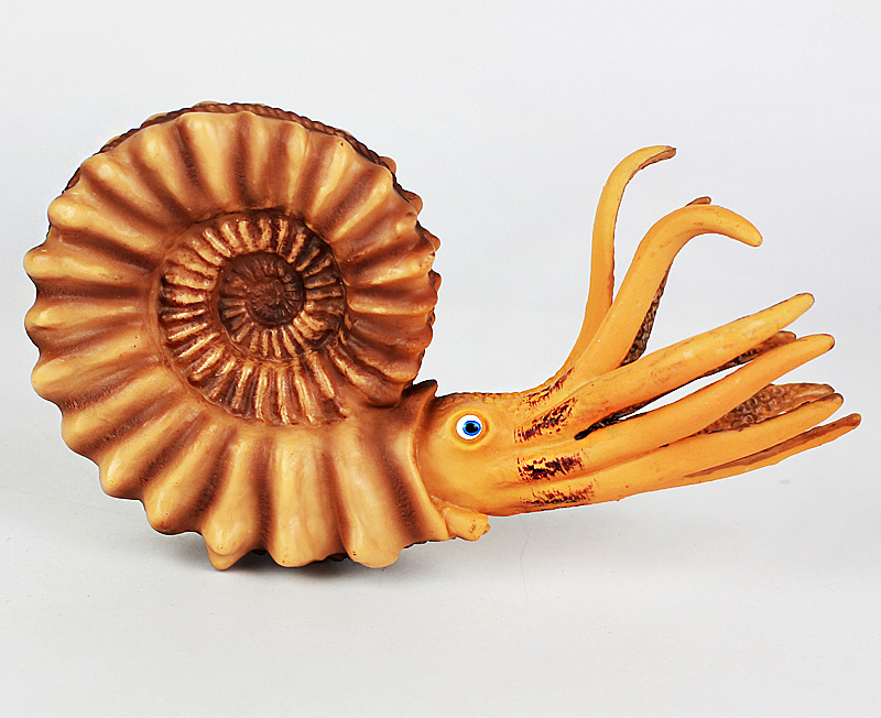 新款仿真鹦鹉螺模型海洋软体生物动物模型塑胶儿童玩具男女孩摆件