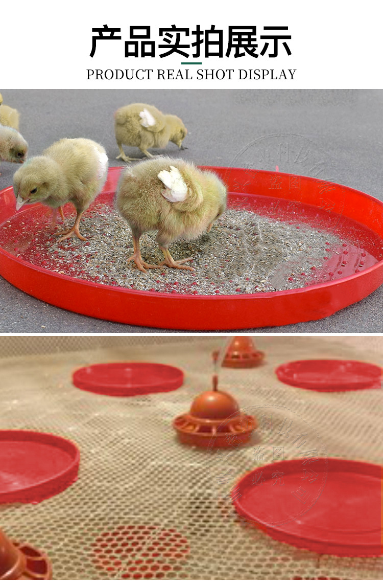 育雏小鸡喂食盘鸡用开食盘雏鸡饲料盘料盘养鸡用品养殖设备鸡鸭鹅