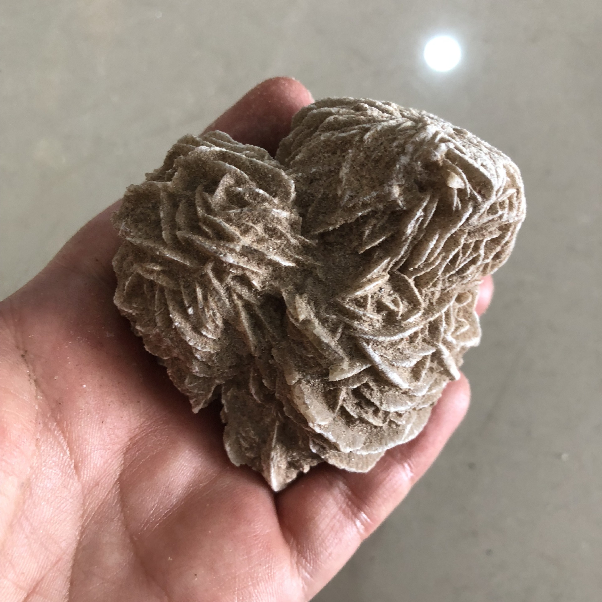 精品天然墨西哥沙漠玫瑰石 矿物晶体 奇石头原石 收藏品 观赏石