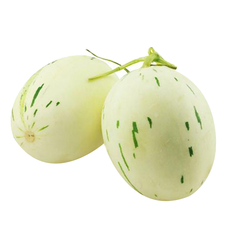 黄白流星甜瓜种子黄白皮香瓜哈密瓜种籽春夏季四季高糖水果种孑籽