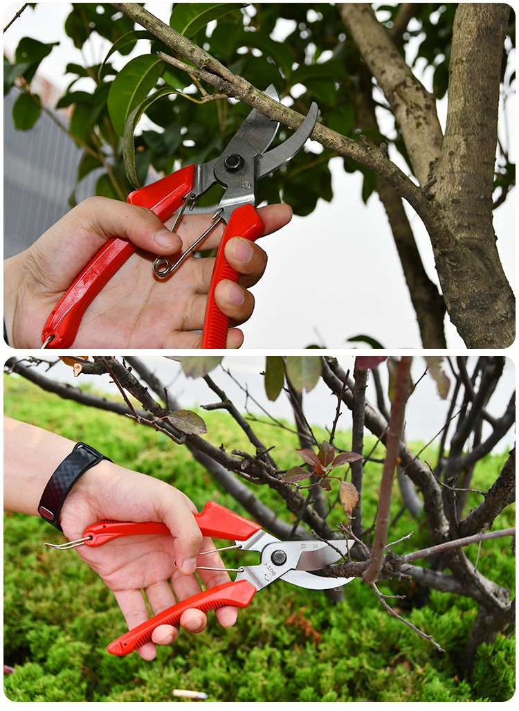 兰枝106修枝剪 手剪 园林园艺工具 绿化剪刀 经典款 耐用