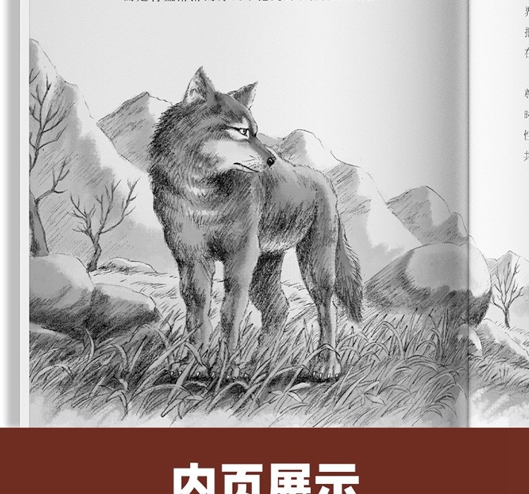 狼王梦正版沈石溪共5册沈石溪动物小说画本系列小学生课外阅读