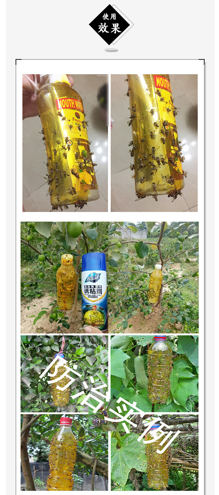 瓜果实蝇针蜂诱粘剂昆虫诱捕剂杀果蝇针蜂药引诱剂果园果蝇诱捕器